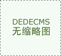 其他0.91%