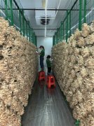 为精准招引玉商、玉工、玉侨带资金、带