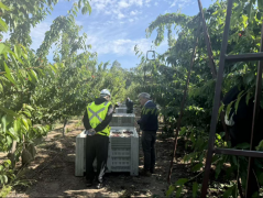”中交四航局航通公司“湾区孤立”号项
